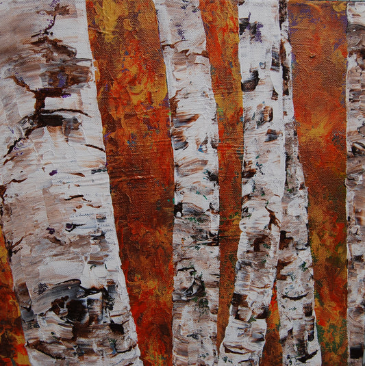8X8 Inch Canvas Art Print: Birch Trees Orange