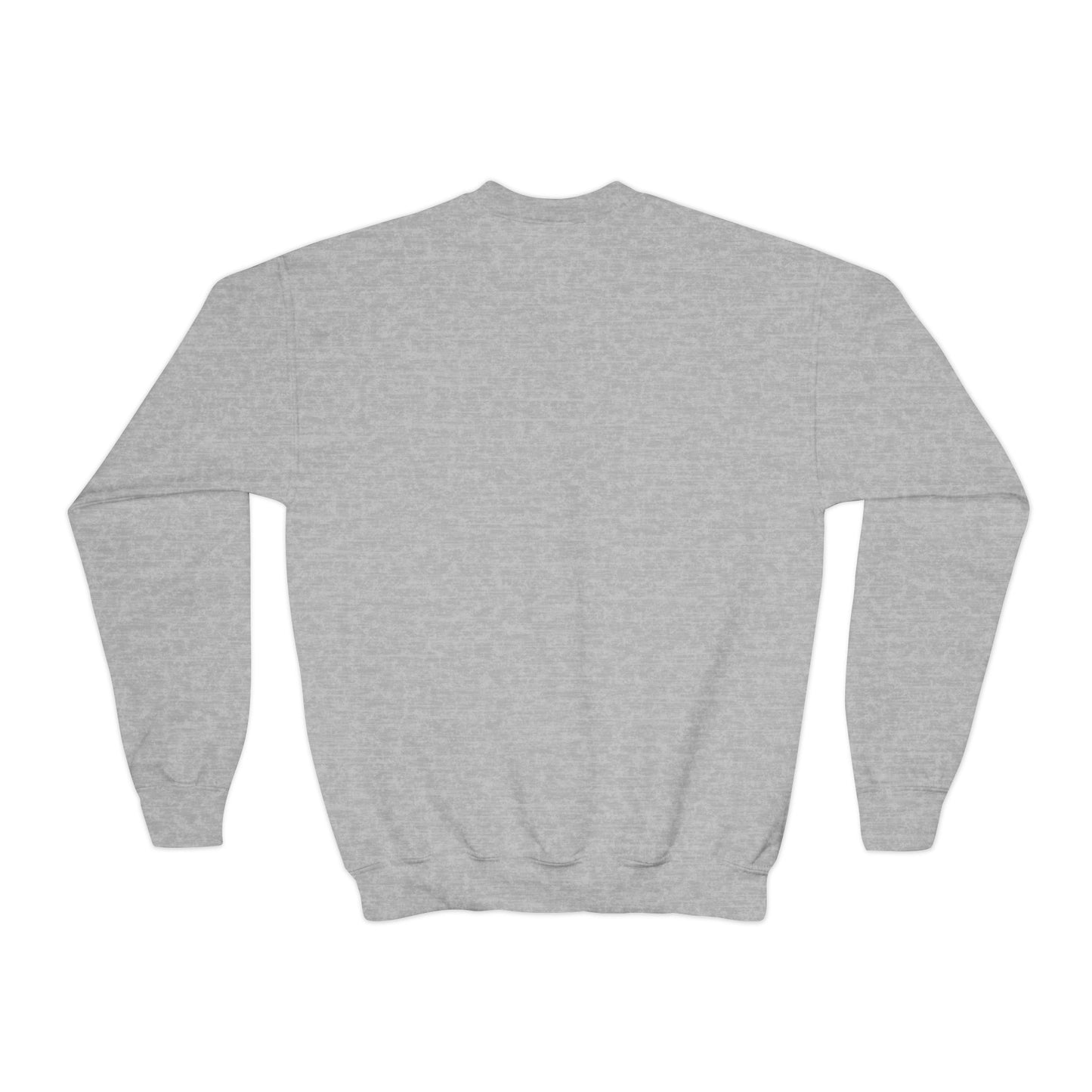 Youth Crewneck Sweatshirt - DeJul Design, Trendy Kids Apparel