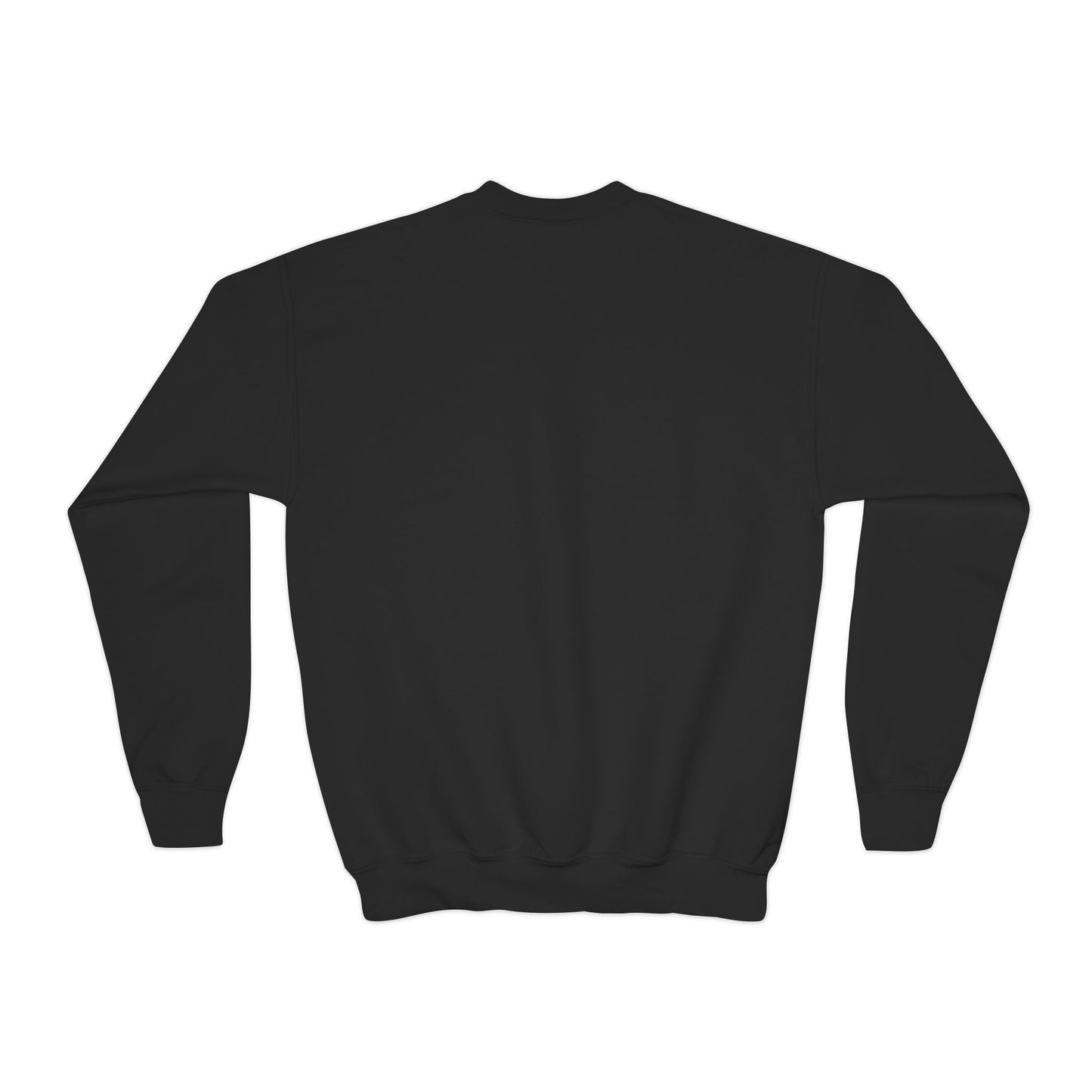 Youth Crewneck Sweatshirt - DeJul Design, Trendy Kids Apparel