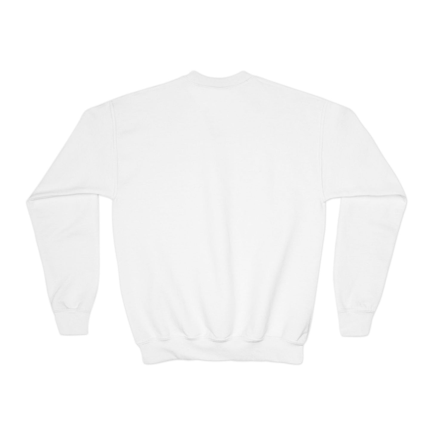Youth Crewneck Sweatshirt - DeJul Design, Trendy Kids Apparel