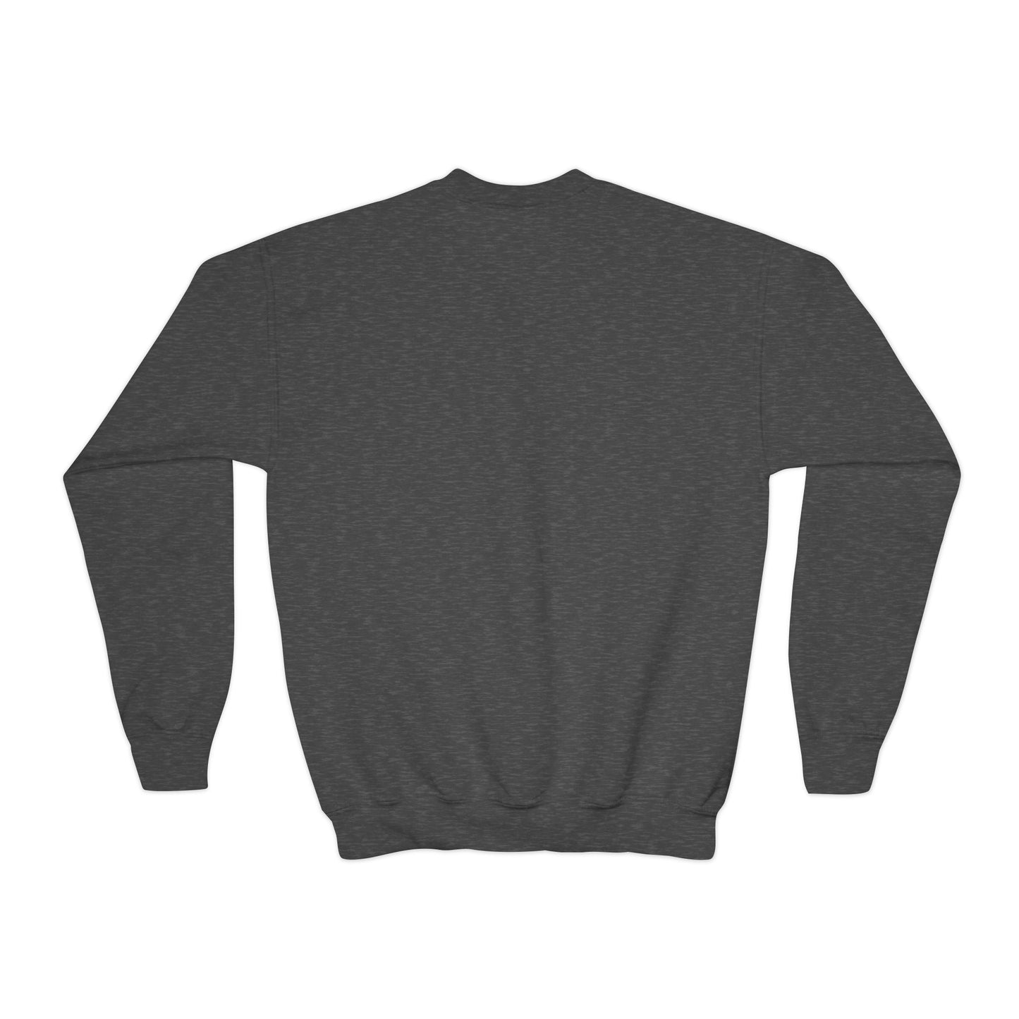Youth Crewneck Sweatshirt - DeJul Design, Trendy Kids Apparel